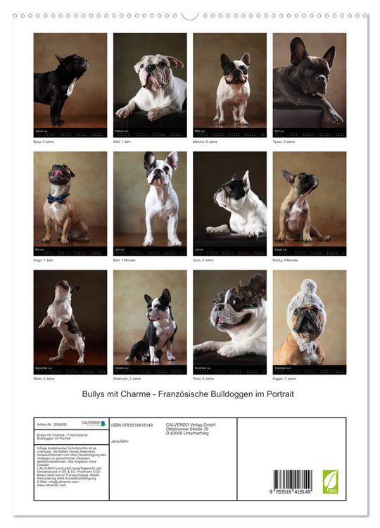 Produktbild: Bullys mit Charme - Franz&ouml;sische Bulldoggen im Portrait (hochwertiger Premium Wandkalender 2026 DIN A2 hoch), Kunstdruck in Hochglanz