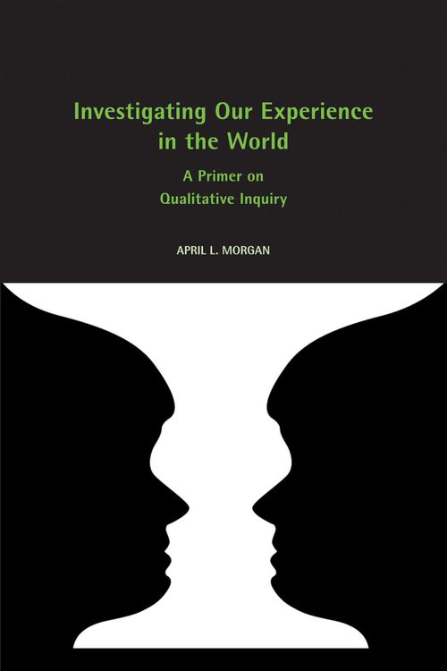 Produktbild: Investigating Our Experience in the World
