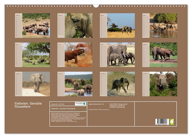 Produktbild: Elefanten. Sensible R&uuml;sseltiere (Wandkalender 2026 DIN A2 quer), CALVENDO Monatskalender