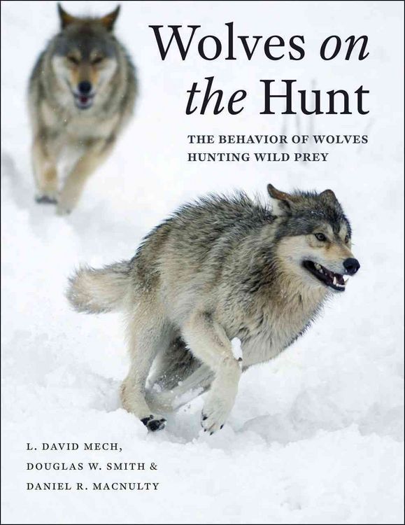 Produktbild: Wolves on the Hunt