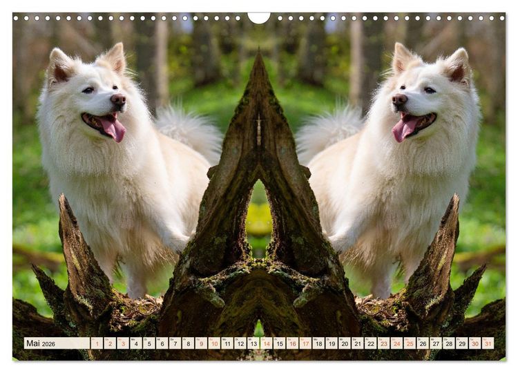 Produktbild: Mit doppelter Power durch das Jahr (Wandkalender 2026 DIN A3 quer), CALVENDO Monatskalender