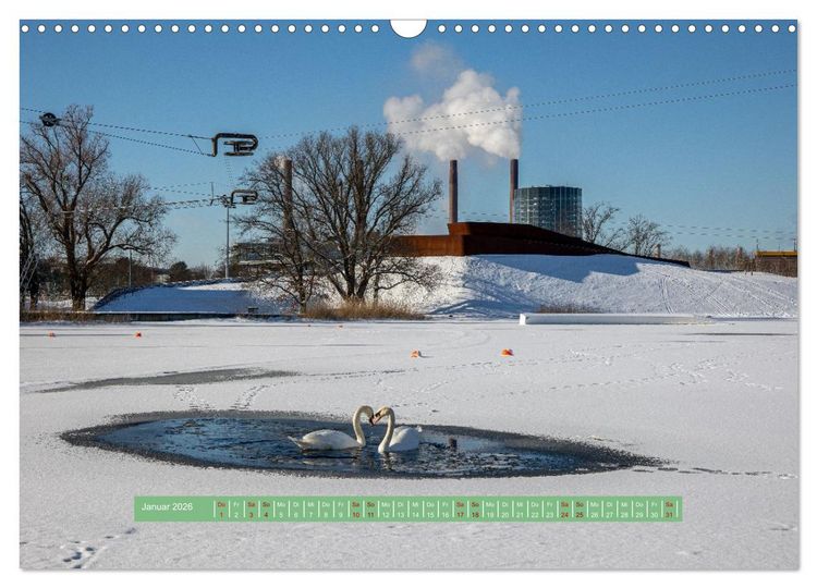 Produktbild: Wolfsburg - einfach tierisch (Wandkalender 2026 DIN A3 quer), CALVENDO Monatskalender