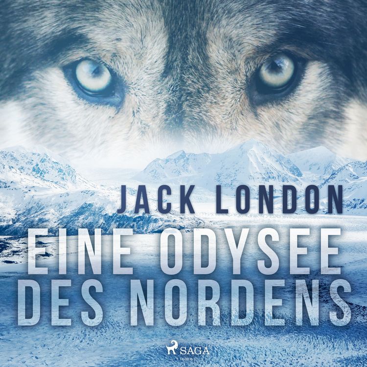 Produktbild: Eine Odysee des Nordens