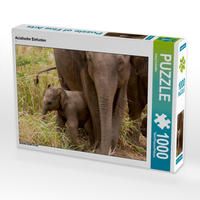 Produktbild: CALVENDO Puzzle Asiatische Elefanten 1000 Teile Lege-Gr&ouml;&szlig;e 64 x 48 cm Foto-Puzzle Bild von Joerg Sobottka