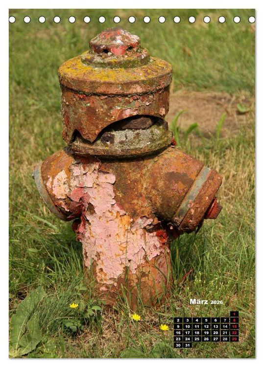 Produktbild: Nostalgie Hydranten (Tischkalender 2026 DIN A5 hoch), CALVENDO Monatskalender