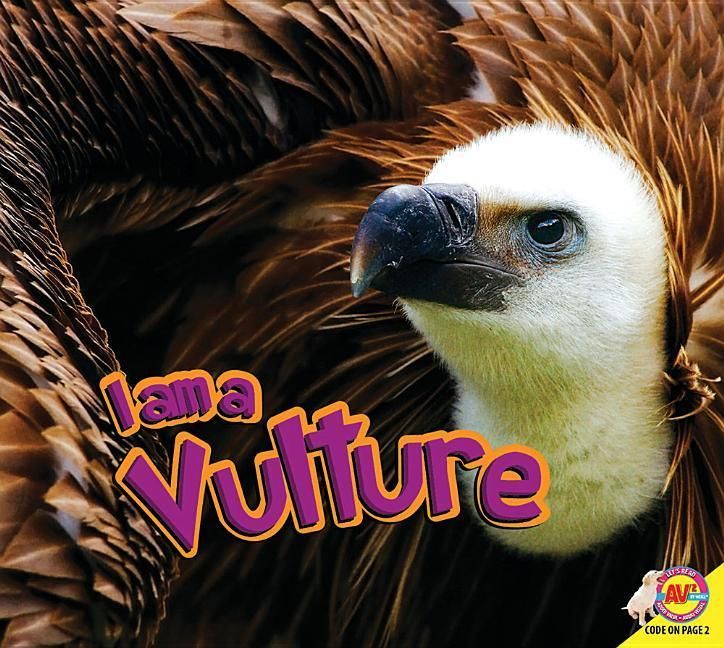 Produktbild: I Am a Vulture