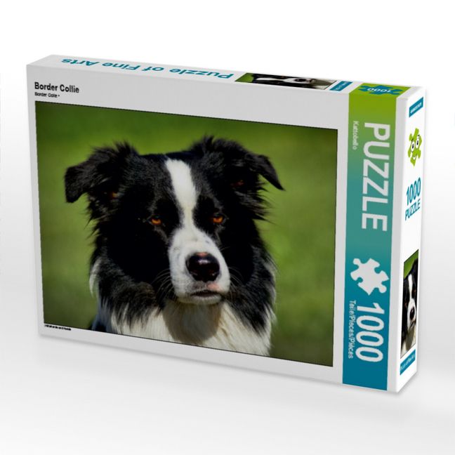 Produktbild: CALVENDO Puzzle Border Collie | 1000 Teile Lege-Gr&ouml;&szlig;e 64x48cm Foto-Puzzle f&uuml;r gl&uuml;ckliche Stunden