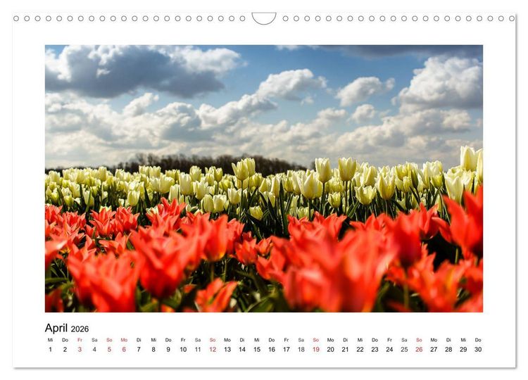 Produktbild: Eindr&uuml;cke aus der Natur (Wandkalender 2026 DIN A3 quer), CALVENDO Monatskalender