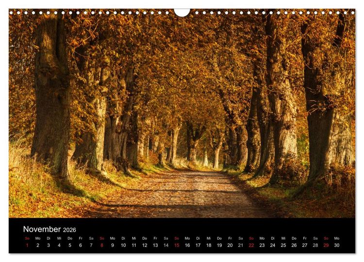 Produktbild: Ostseeinsel R&uuml;gen Impressionen (Wandkalender 2026 DIN A3 quer), CALVENDO Monatskalender