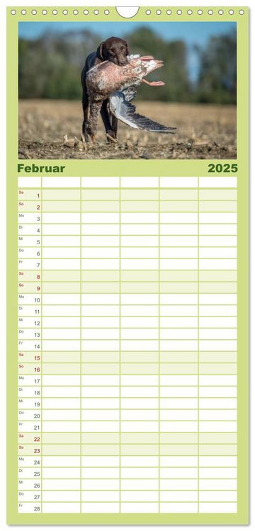 Familienplaner 2025 - Jagdhunde bei der Arbeit mit 5 Spalten (Wandkalender, 21 x 45 cm) CALVENDO