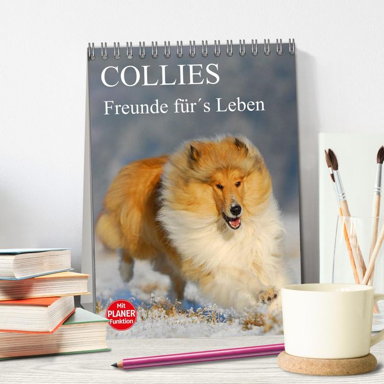 Produktbild: Collies - Freunde f&uuml;r&acute;s Leben (Tischkalender 2026 DIN A5 hoch), CALVENDO Monatskalender