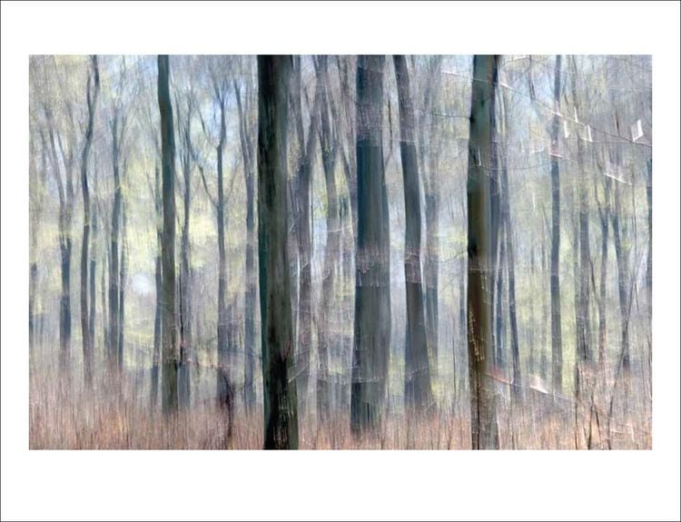 Produktbild: Das Waldbuch