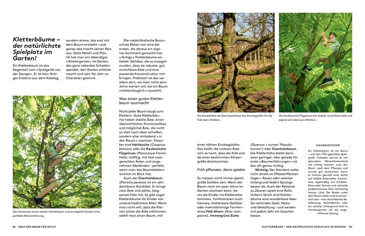 Produktbild: Kleine B&auml;ume f&uuml;r den Garten