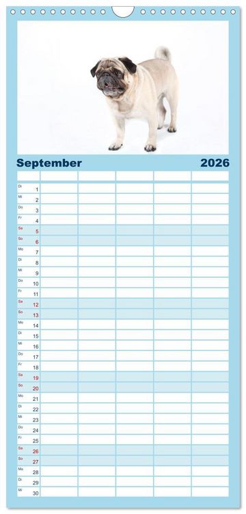 Produktbild: Familienplaner 2026 - Mops - unwiderstehlich und charmant mit 5 Spalten (Wandkalender, 21 x 45 cm) CALVENDO