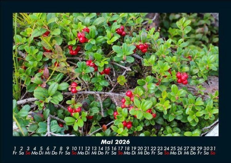 Produktbild: Pflanzen und Bl&uuml;ten 2026 Fotokalender DIN A5
