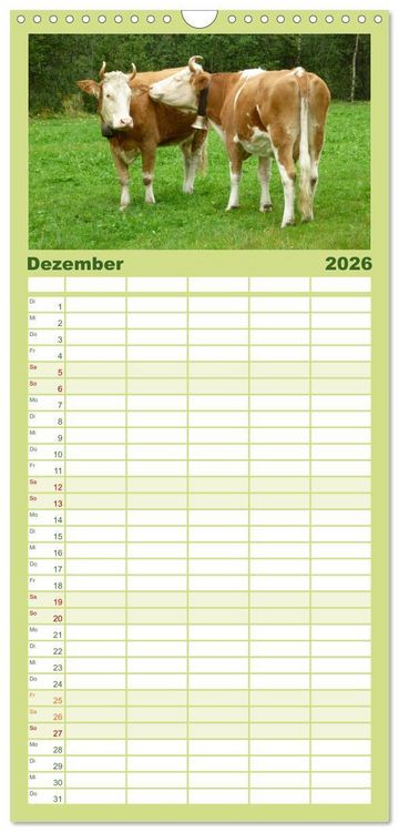 Produktbild: Familienplaner 2026 - Die Welt der K&uuml;he mit 5 Spalten (Wandkalender, 21 x 45 cm) CALVENDO