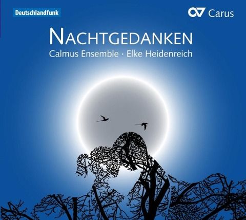Produktbild: Nachtgedanken