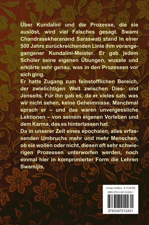 Produktbild: Kundalini und die Lehren eines Meisters