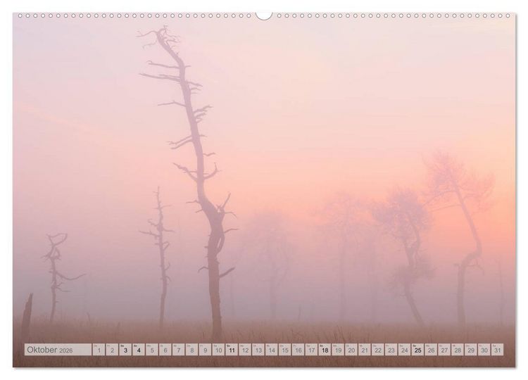 Produktbild: Moore und B&auml;che in Eifel und Ardennen (Wandkalender 2026 DIN A2 quer), CALVENDO Monatskalender