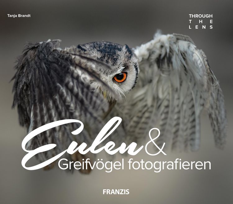 Produktbild: Eulen & Greifv&ouml;gel fotografieren