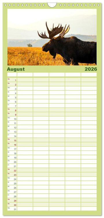 Produktbild: Familienplaner 2026 - Wyoming - Der Bundesstaat der gro&szlig;en Ebenen. mit 5 Spalten (Wandkalender, 21 x 45 cm) CALVENDO
