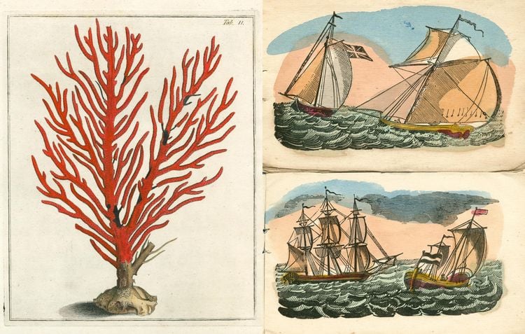Produktbild: John Derian Picture Book II