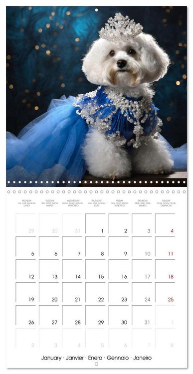 Produktbild: Grand Divas of the Dog World (Wall Calendar 2026 12 &times; 12 Inch) CALVENDO 12 Month Wall Calendar