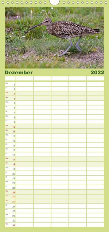 Produktbild: Familienplaner Die Orkneys - Schottlands n&ouml;rdliche Inseln (Wandkalender 2022 , 21 cm x 45 cm, hoch)