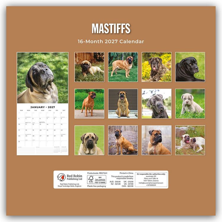 Produktbild: Mastiffs &ndash; Mastiff 2027 &ndash; 16-Monatskalender