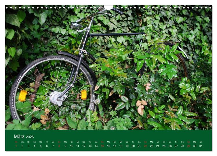 Produktbild: Das Fahrrad 2026 (Wandkalender 2026 DIN A3 quer), CALVENDO Monatskalender