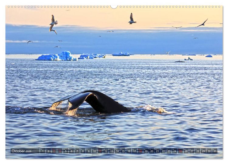 Produktbild: Gr&ouml;nland - Ilulissat und die Diskobucht (Wandkalender 2026 DIN A2 quer), CALVENDO Monatskalender
