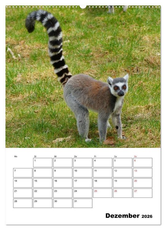 Produktbild: Katta Terminplaner (Wandkalender 2026 DIN A2 hoch), CALVENDO Monatskalender