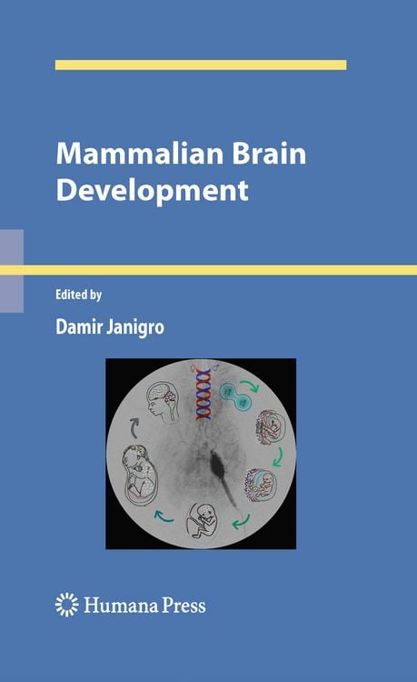 Produktbild: Mammalian Brain Development