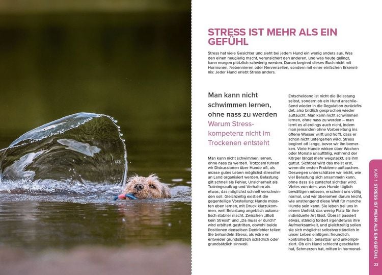 Produktbild: Stress beim Hund verstehen