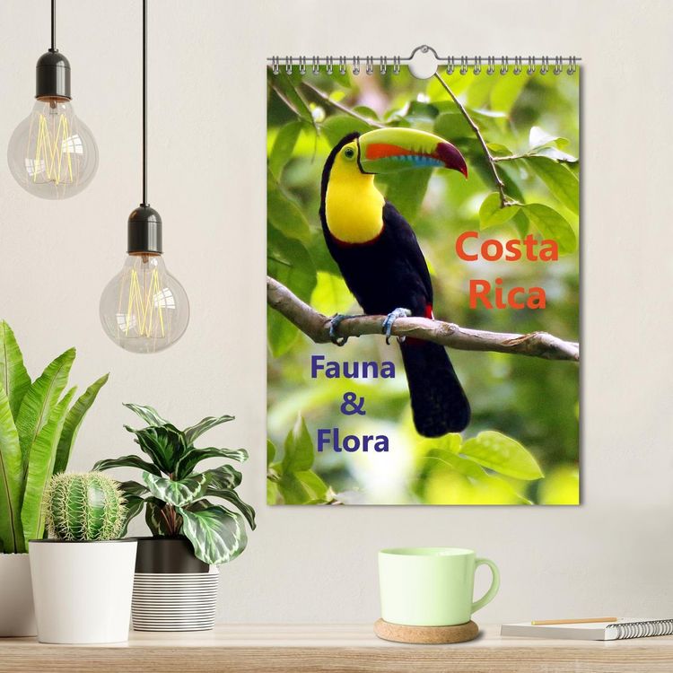 Produktbild: Costa Rica - Fauna & Flora (Wandkalender 2026 DIN A4 hoch), CALVENDO Monatskalender