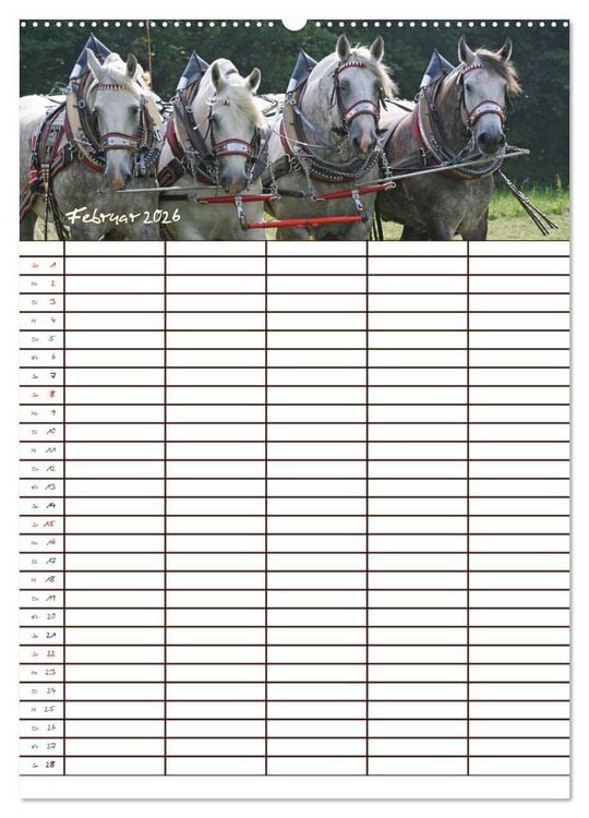 Produktbild: Der Kaltblut-Familienplaner (hochwertiger Premium Wandkalender 2026 DIN A2 hoch), Kunstdruck in Hochglanz