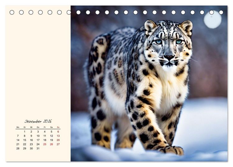 Produktbild: Im Reich der Schneeleoparden (Tischkalender 2026 DIN A5 quer), CALVENDO Monatskalender