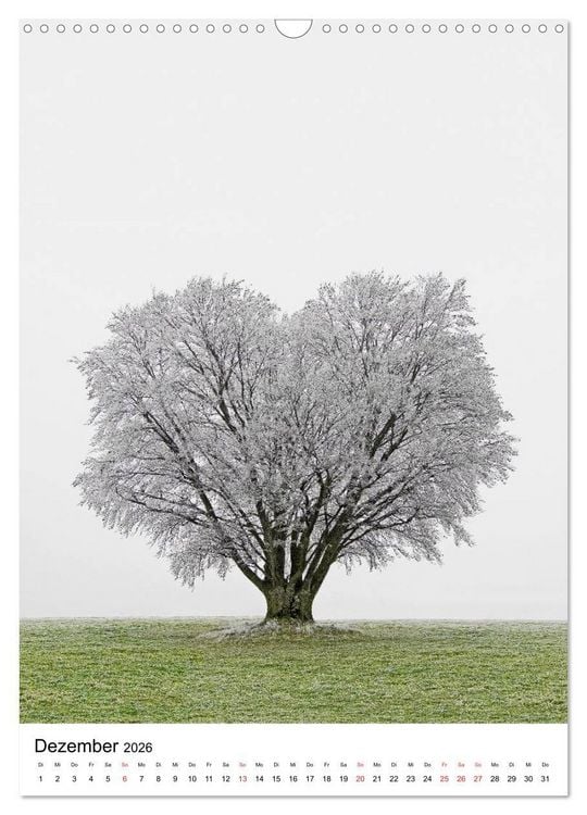 Produktbild: B&auml;ume (Wandkalender 2026 DIN A3 hoch), CALVENDO Monatskalender
