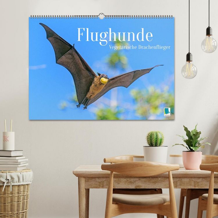Produktbild: Flughunde: Vegetarische Drachenflieger (Wandkalender 2026 DIN A2 quer), CALVENDO Monatskalender