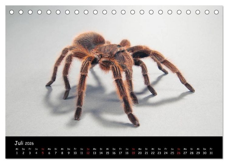 Produktbild: Mystische Vogelspinnen (Tischkalender 2026 DIN A5 quer), CALVENDO Monatskalender