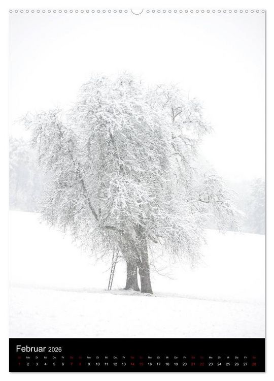 Produktbild: B&auml;ume - Stilles Leben (Wandkalender 2026 DIN A2 hoch), CALVENDO Monatskalender