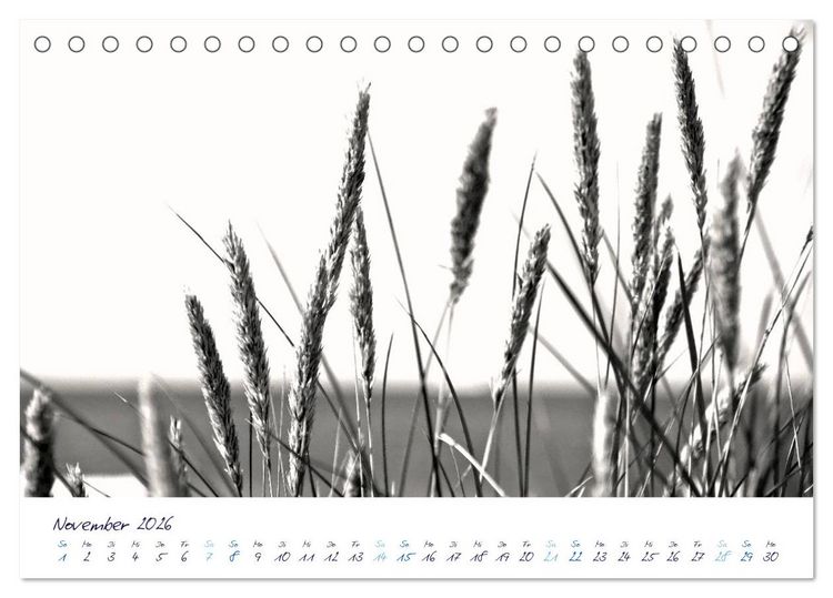 Produktbild: Meeresbilder - Nordsee-Impressionen (Tischkalender 2026 DIN A5 quer), CALVENDO Monatskalender