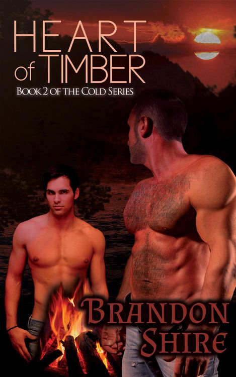 Produktbild: Heart of Timber (Gay Romance)