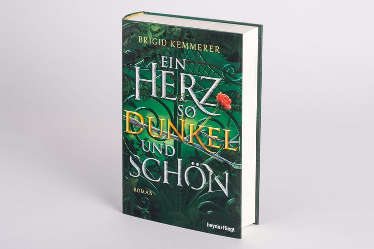 Produktbild: Ein Herz so dunkel und sch&ouml;n