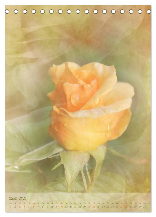 Produktbild: Vintage Flowers (Tischkalender 2026 DIN A5 hoch), CALVENDO Monatskalender