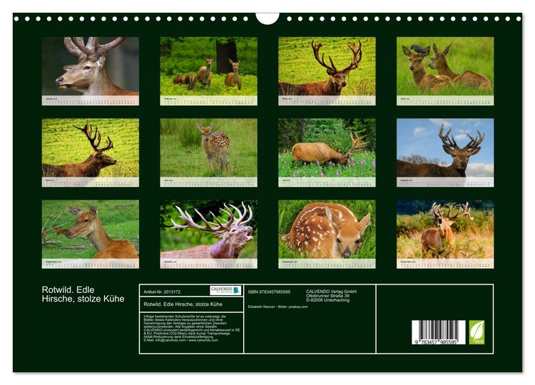 Produktbild: Rotwild. Edle Hirsche, stolze K&uuml;he (Wandkalender 2026 DIN A3 quer), CALVENDO Monatskalender