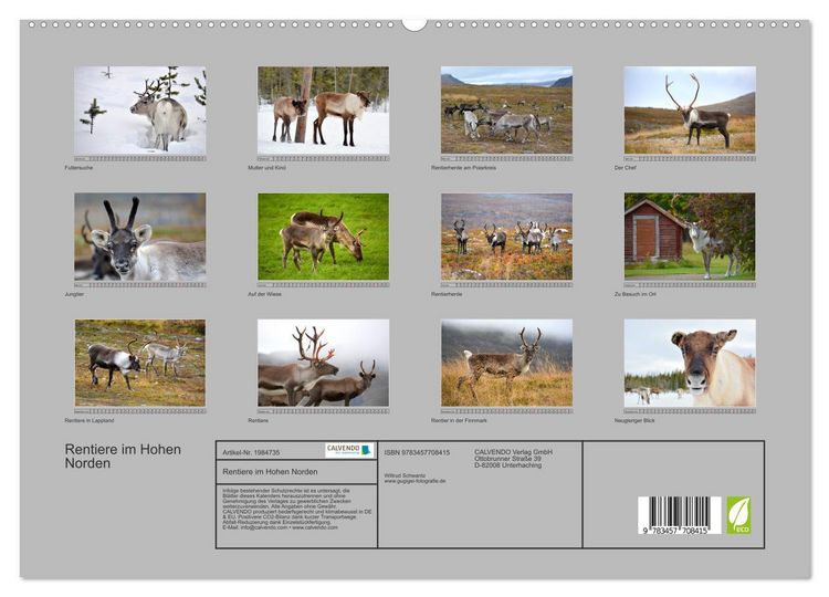 Produktbild: Rentiere im Hohen Norden (hochwertiger Premium Wandkalender 2026 DIN A2 quer), Kunstdruck in Hochglanz