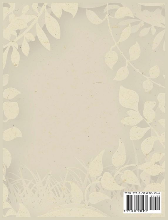 Produktbild: Cricut For Beginners 4 books in 1