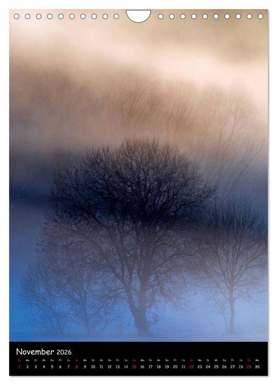 Produktbild: Visuelle Meditation - Gl&uuml;hende Wipfel (Wandkalender 2026 DIN A4 hoch), CALVENDO Monatskalender