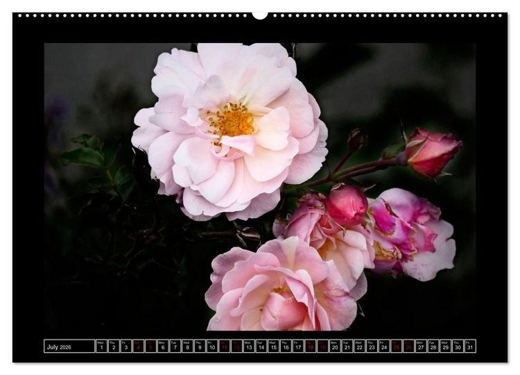 Produktbild: Mysterious plant portraits (High Quality Premium Wall Calendar 2026 DIN A2 landscape),CALVENDO 12 Month Wall Calendar